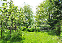 Urlaub im Ostseebad Nienhagen - Garten